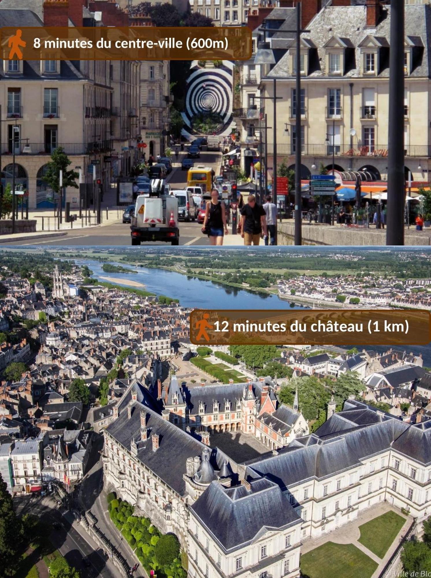 Maison Royale - Idealement Situee A Blois Extérieur photo